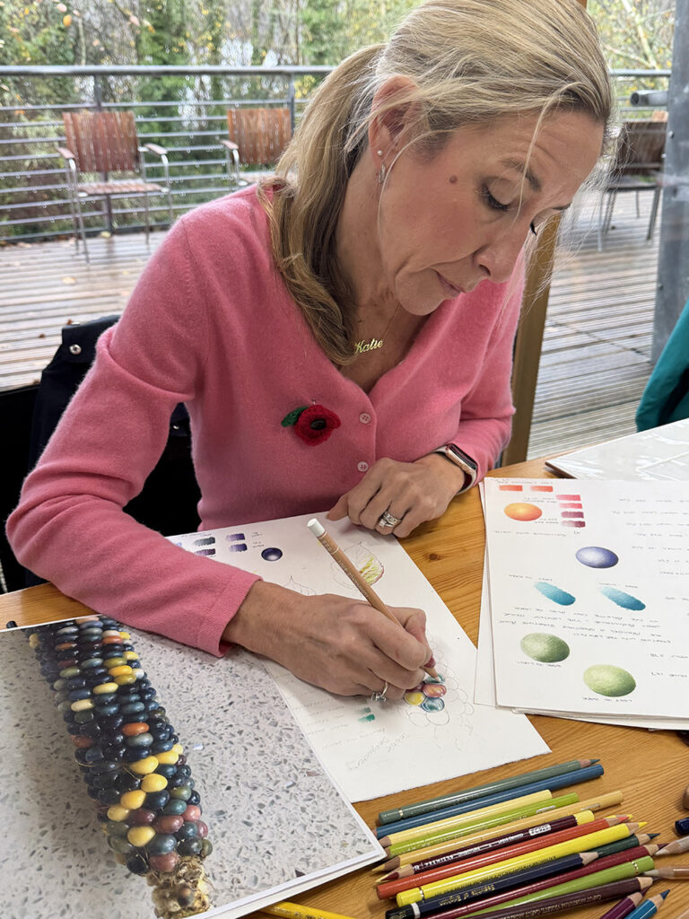 Colour pencil workshop with Kate Prince
